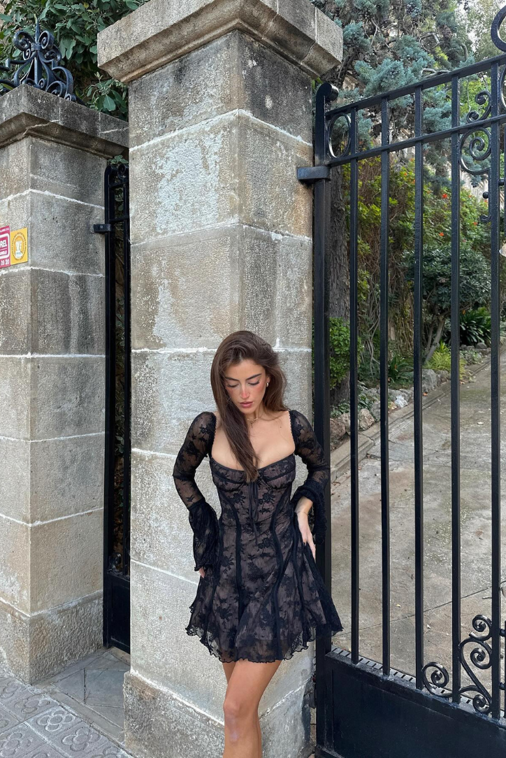 Adelaide | Vintage Embroidered Mesh Dress